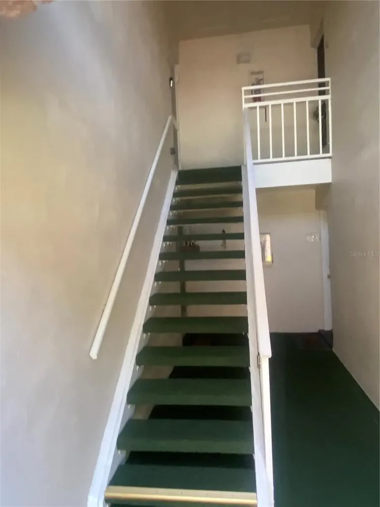 3630 38th Avenue S St Petersburg FL 33711