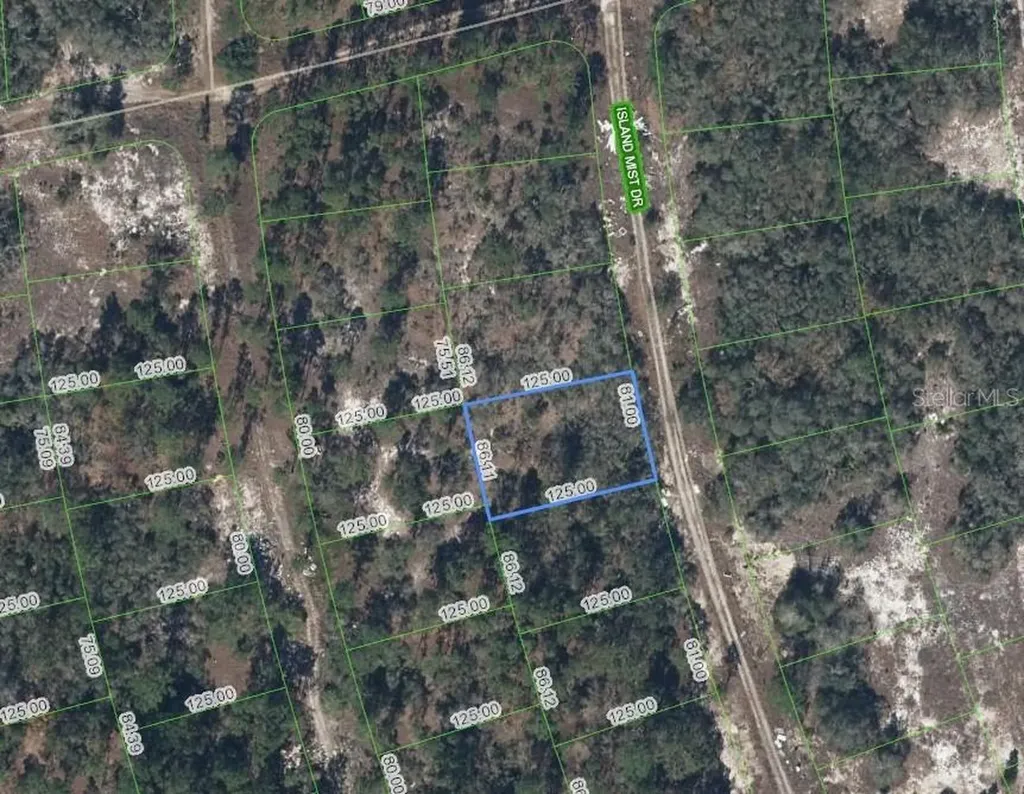 218 Island Mist Drive Lake Placid FL 33852