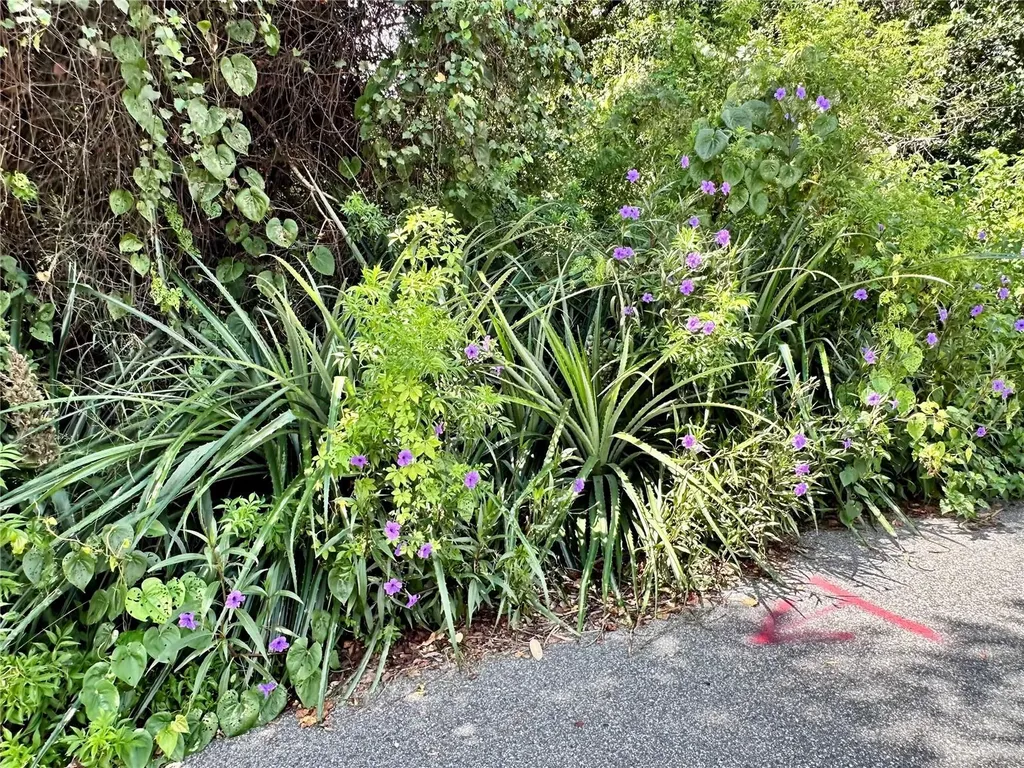 1606 11th Street Orlando FL 32824