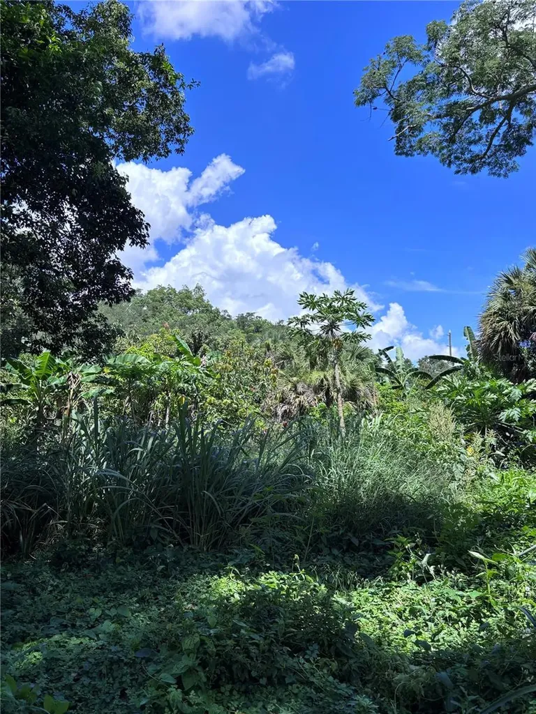 1606 11th Street Orlando FL 32824