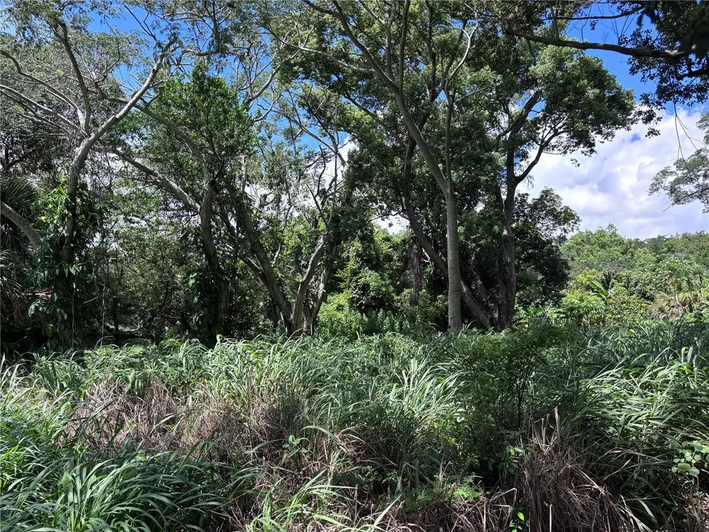 1606 11th Street Orlando FL 32824