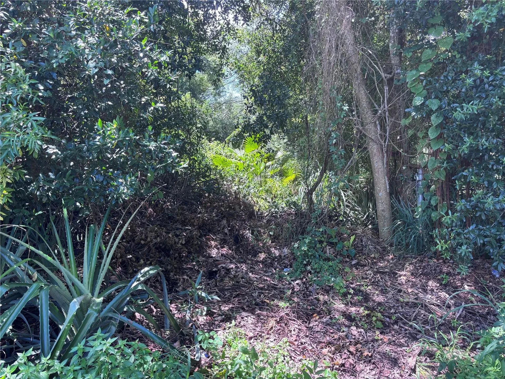 1606 11th Street Orlando FL 32824