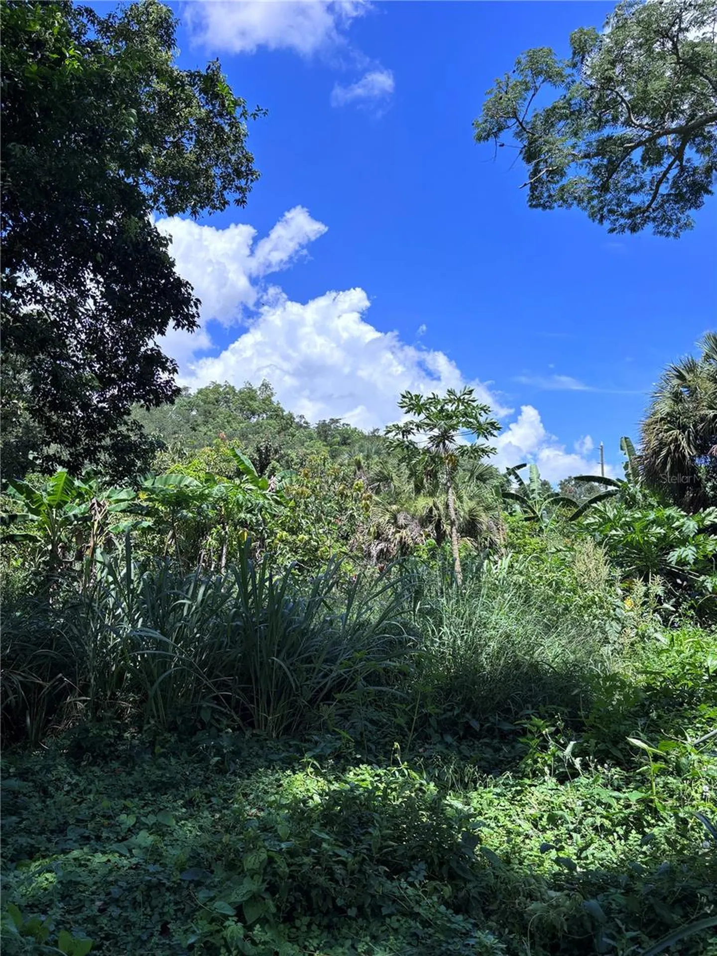 1606 11th Street Orlando FL 32824