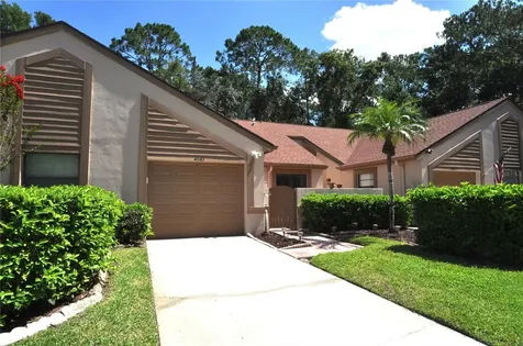 4043 Mermoor Court Palm Harbor FL 34685