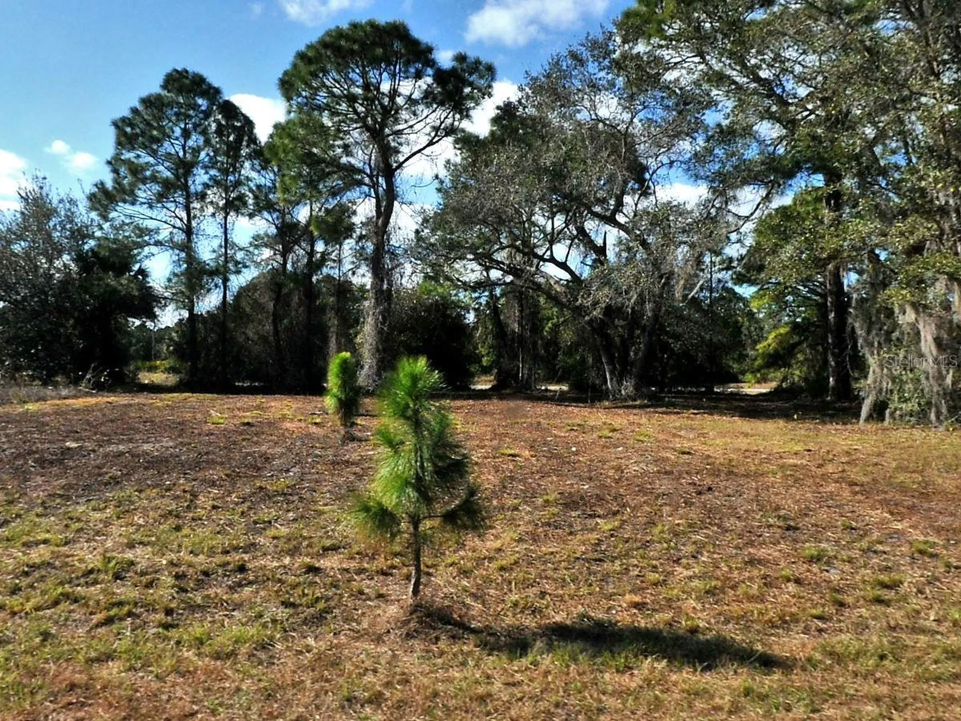 Longfellow Lane North Port FL 34288