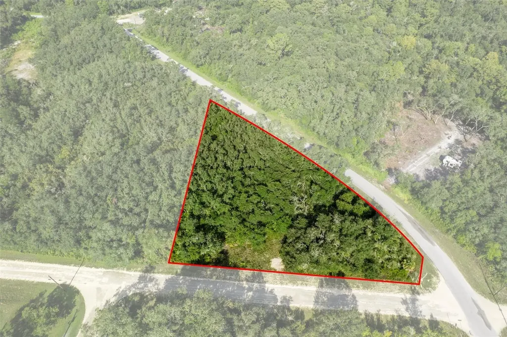Bigelow Avenue Webster FL 33597