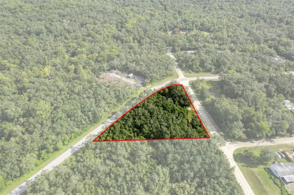 Bigelow Avenue Webster FL 33597