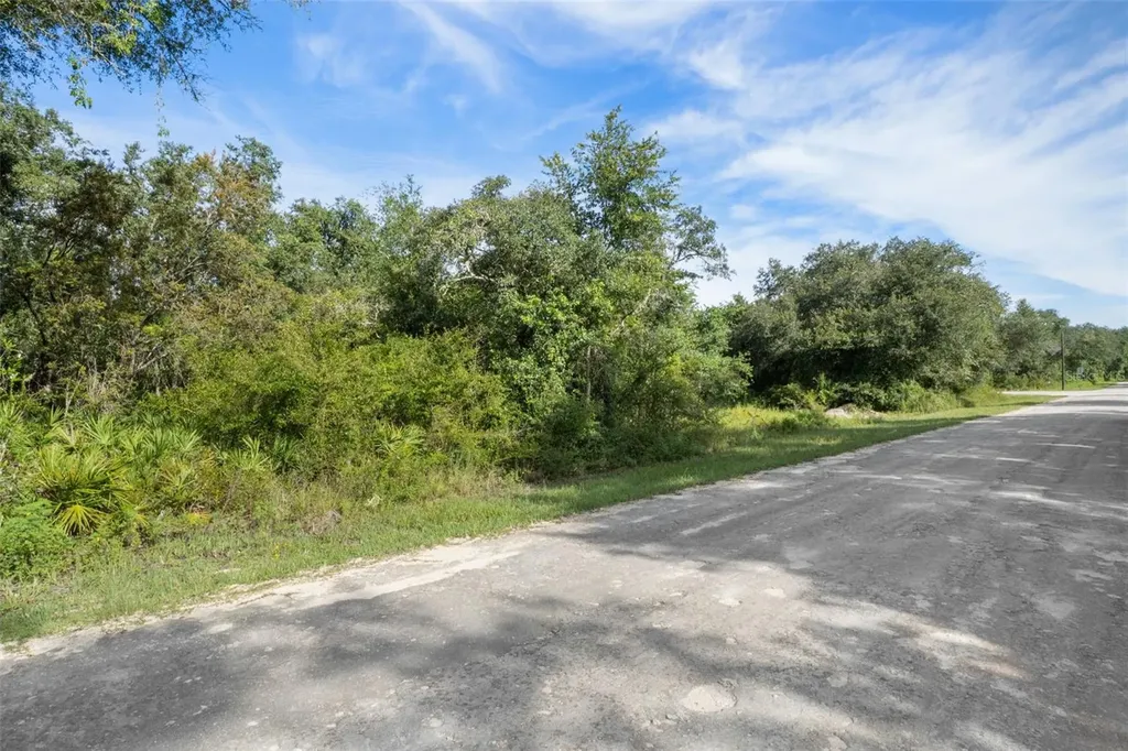 Bigelow Avenue Webster FL 33597