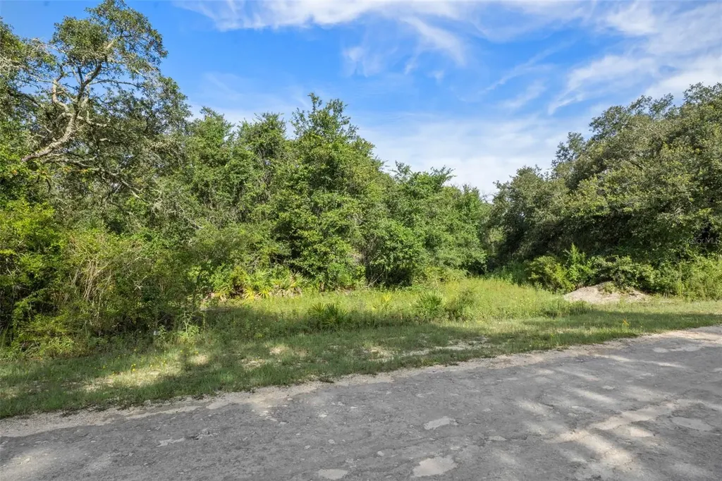 Bigelow Avenue Webster FL 33597