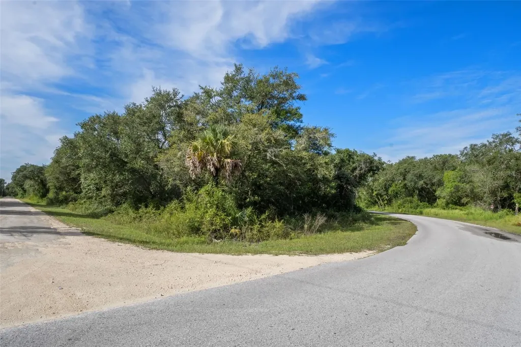 Bigelow Avenue Webster FL 33597