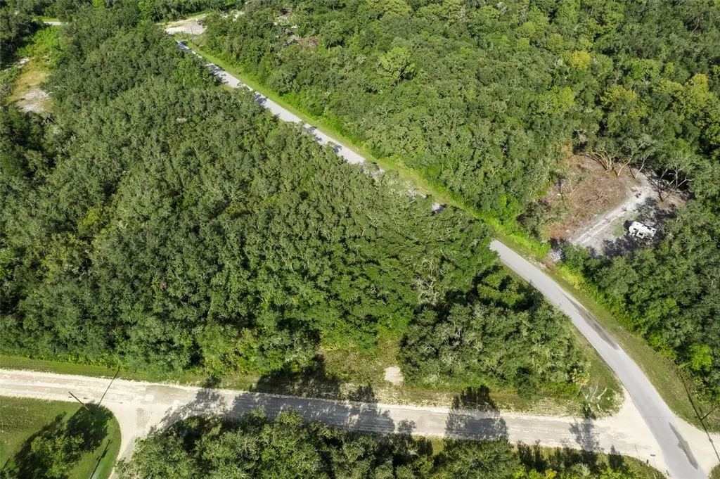 Bigelow Avenue Webster FL 33597