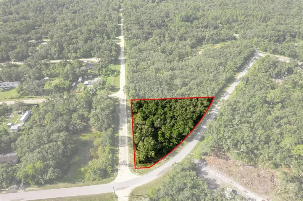 Bigelow Avenue Webster FL 33597