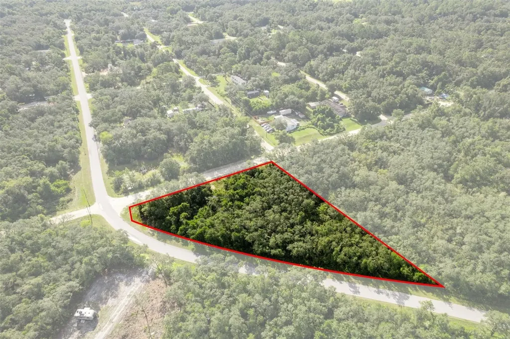 Bigelow Avenue Webster FL 33597