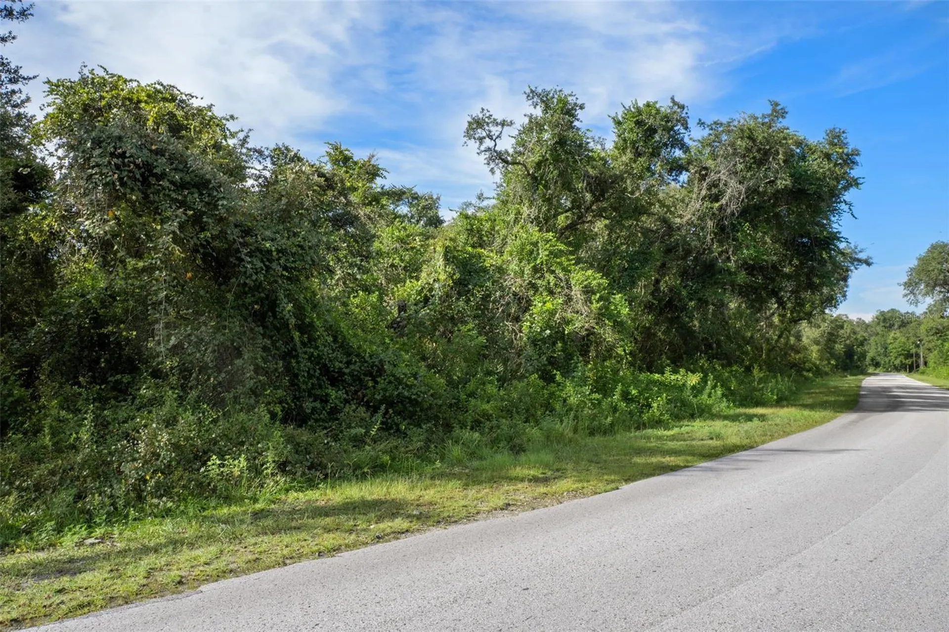 Bigelow Avenue Webster FL 33597