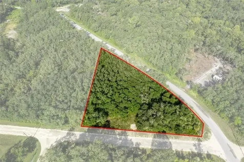 Bigelow Avenue Webster FL 33597