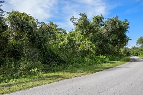 Bigelow Avenue Webster FL 33597