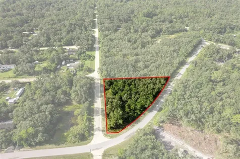 Bigelow Avenue Webster FL 33597