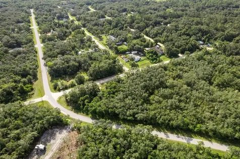 Bigelow Avenue Webster FL 33597