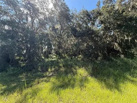 Lot 98 Bear Den Drive Eustis FL 32736