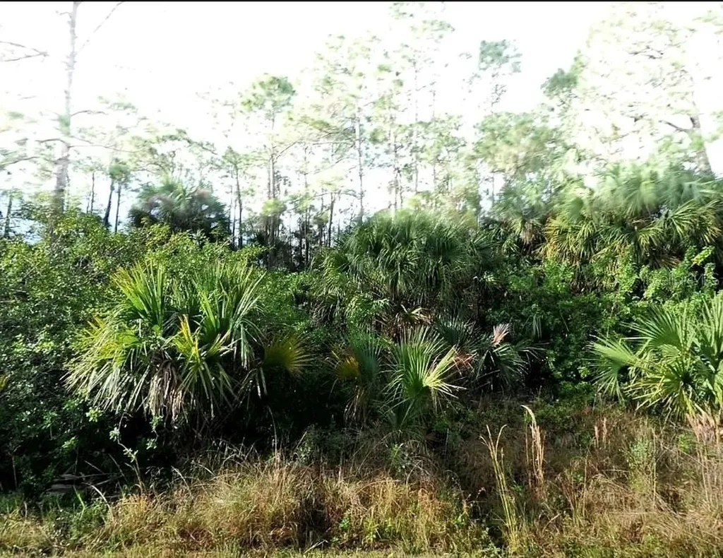 Blueleaf Drive North Port FL 34288