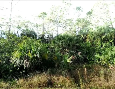 Blueleaf Drive North Port FL 34288