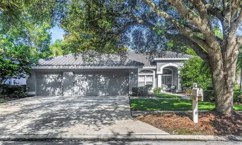 17818 Hickory Moss Place Tampa FL 33647