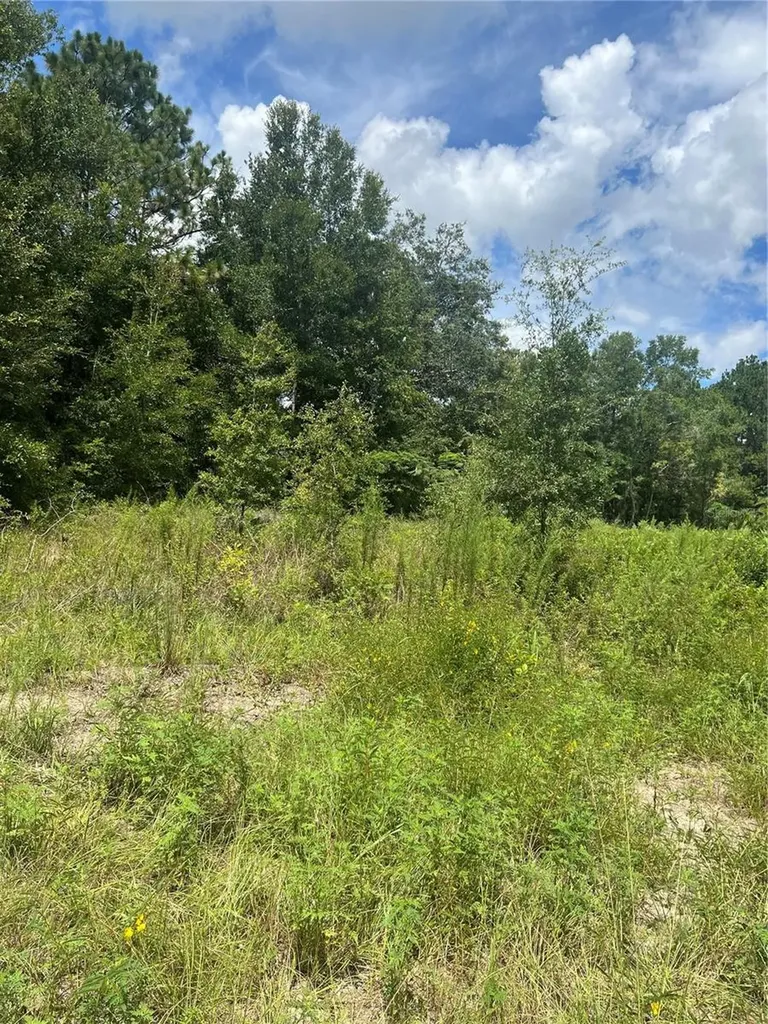 SE 42nd Terrace Summerfield FL 34491