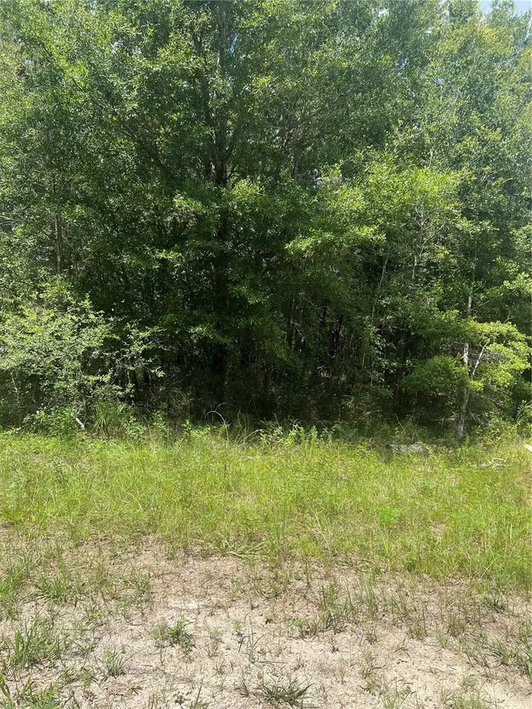 SE 42nd Terrace Summerfield FL 34491