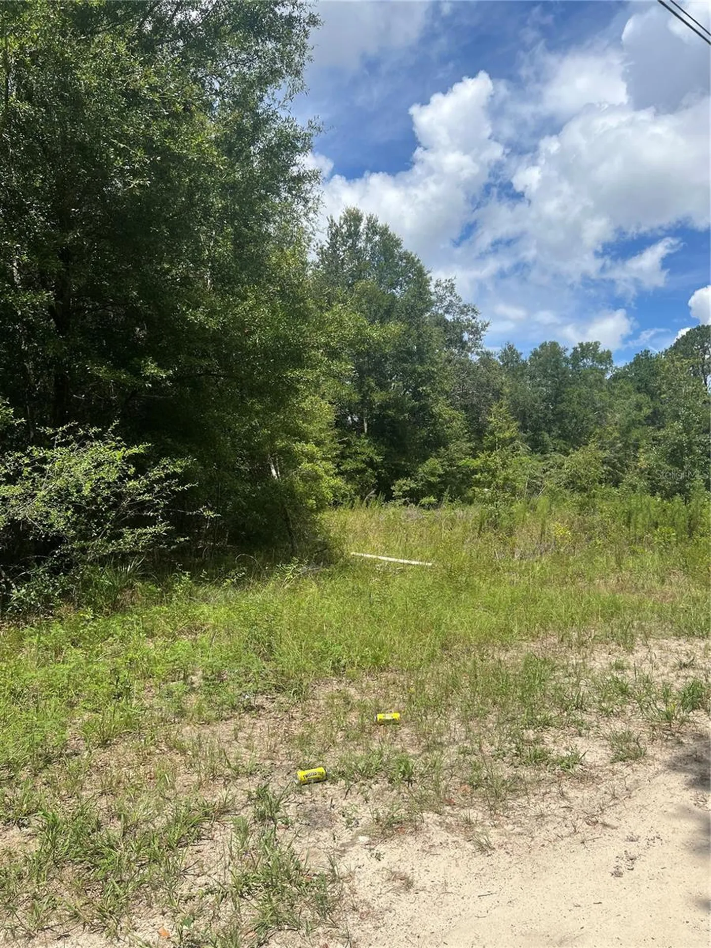 SE 42nd Terrace Summerfield FL 34491