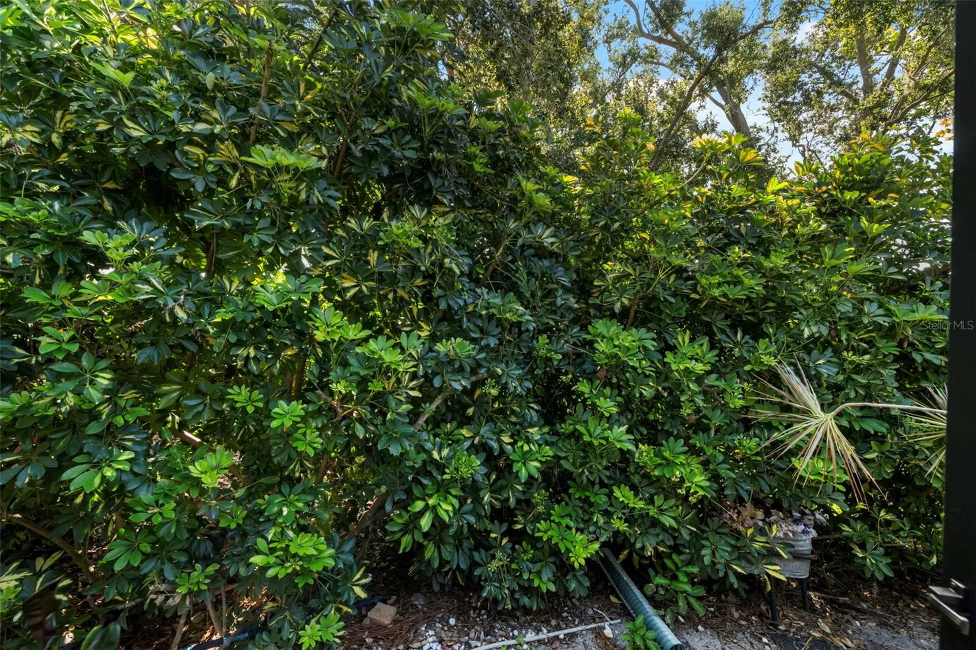 8809 Havenridge Drive Sarasota FL 34238