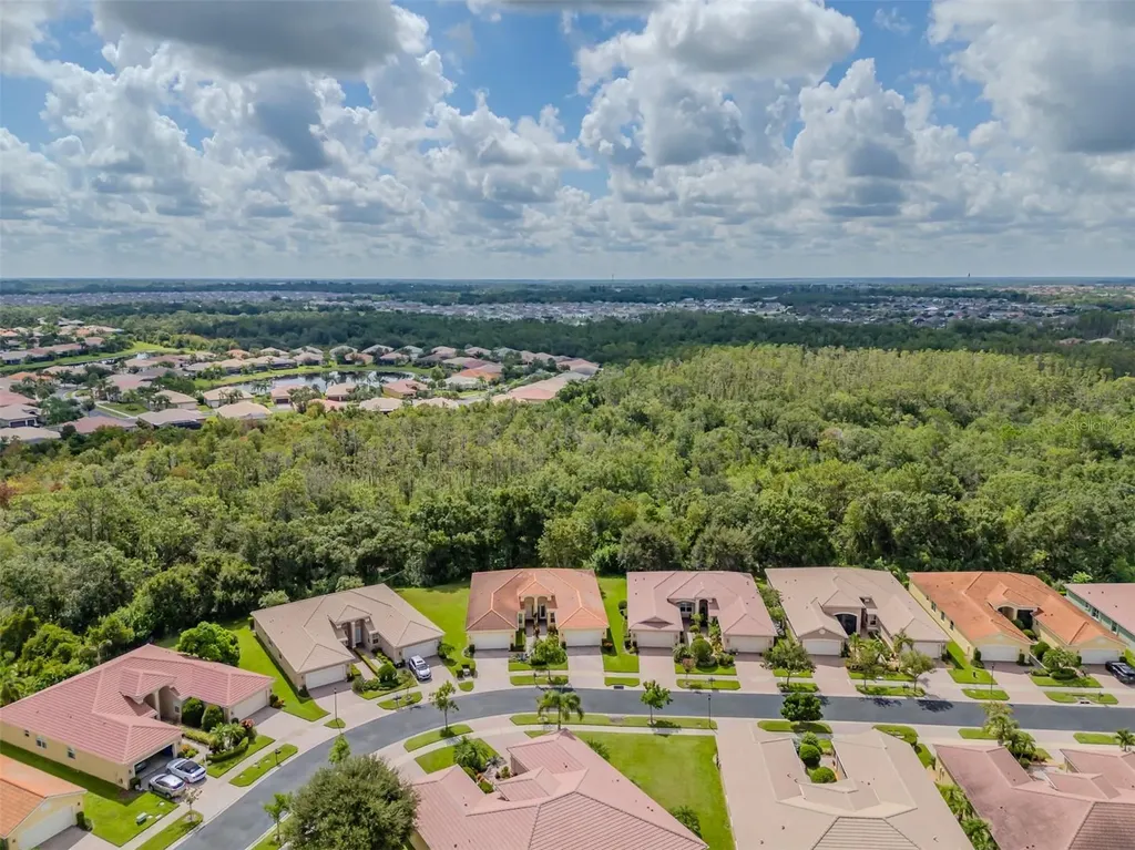 16130 Amethyst Key Drive Wimauma FL 33598
