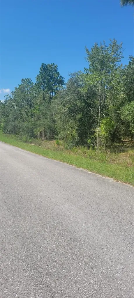 0 SW Big Bear Ridge Dunnellon FL 34431
