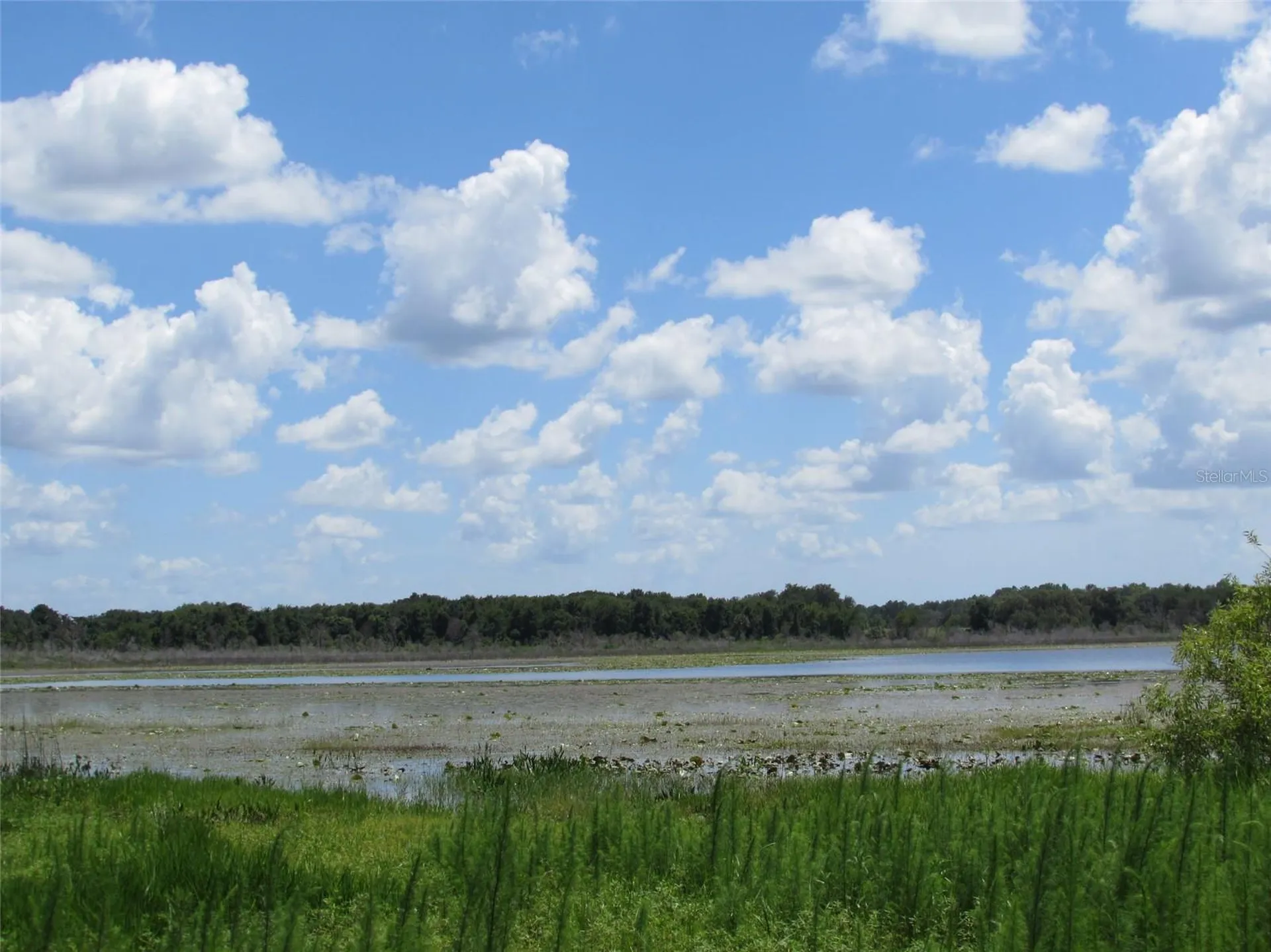 0 SW Big Bear Ridge Dunnellon FL 34431