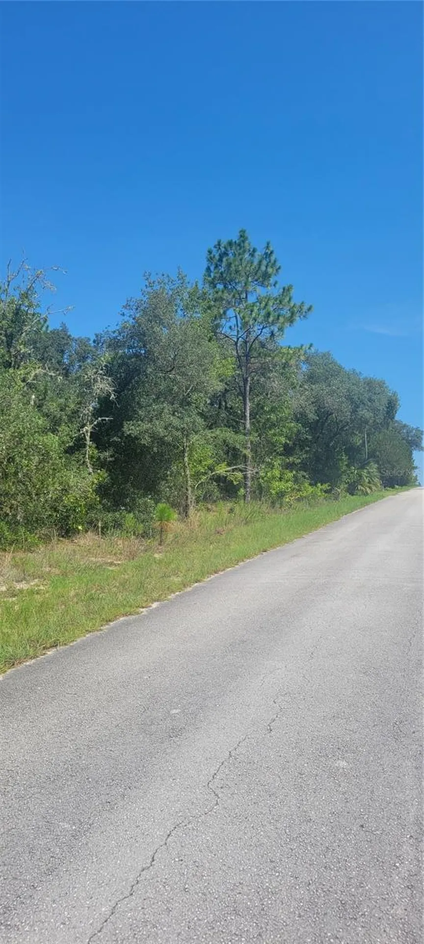 0 SW Big Bear Ridge Dunnellon FL 34431