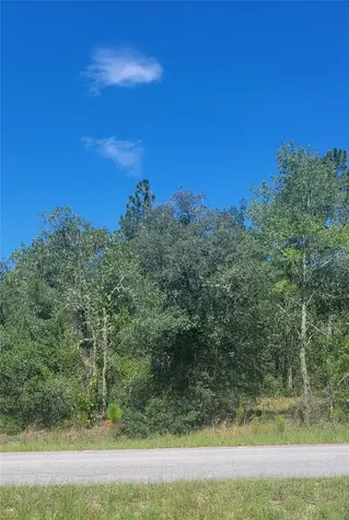0 SW Big Bear Ridge Dunnellon FL 34431