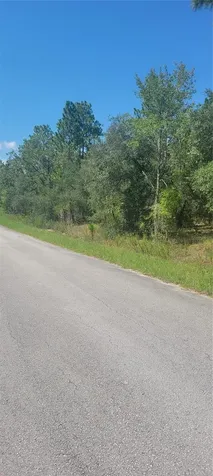 0 SW Big Bear Ridge Dunnellon FL 34431