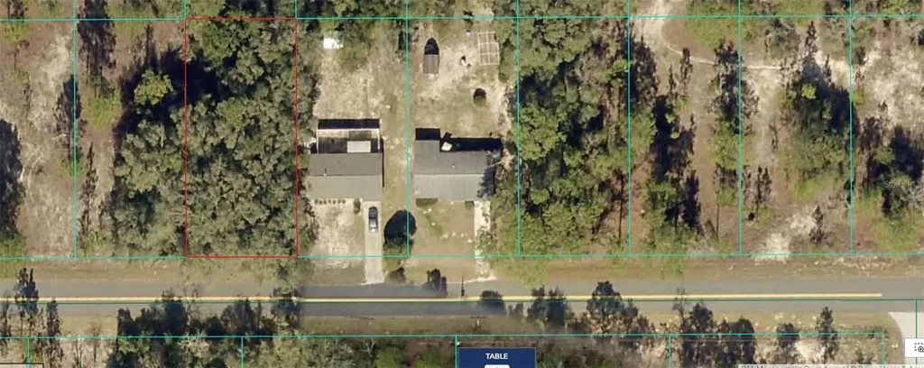 0 SW Beach Boulevard Dunnellon FL 34431