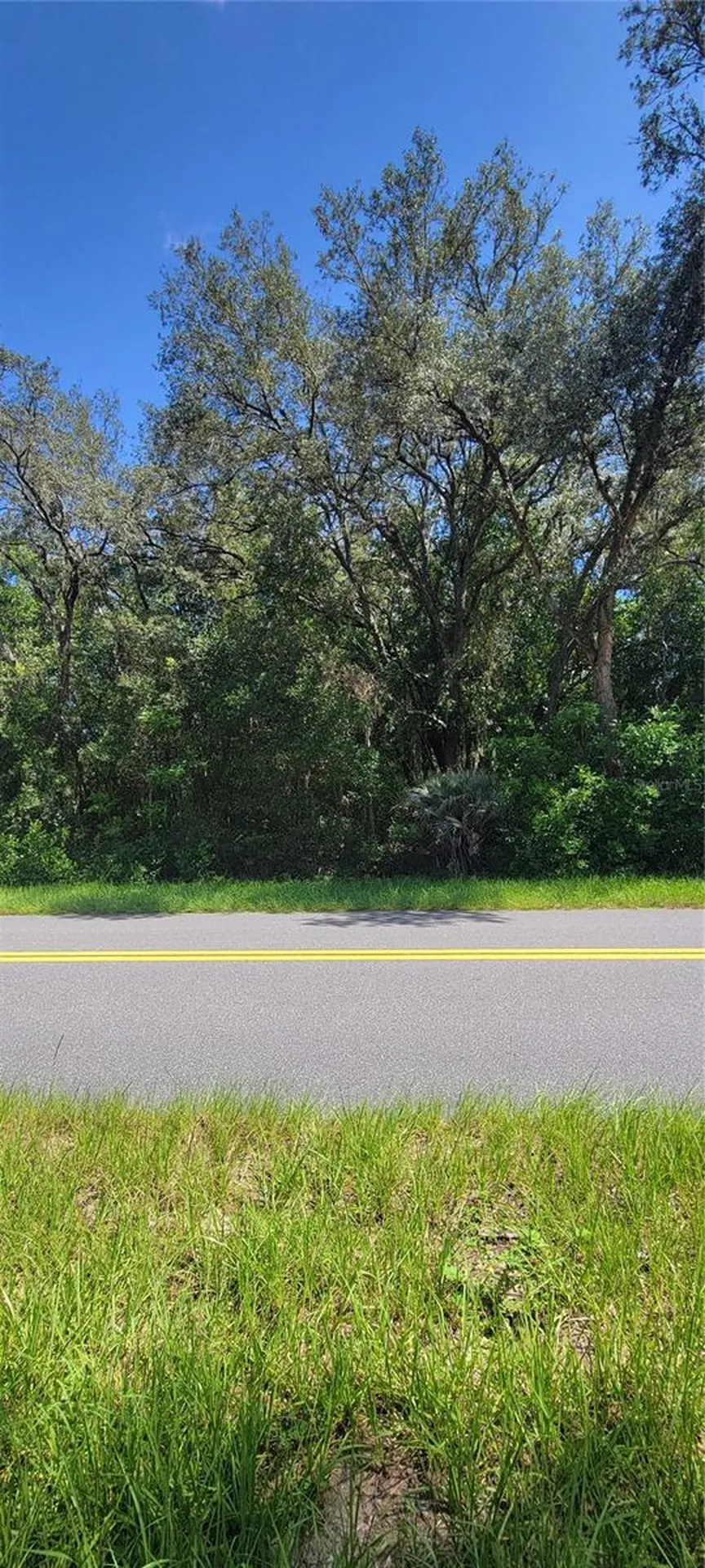 0 SW Beach Boulevard Dunnellon FL 34431