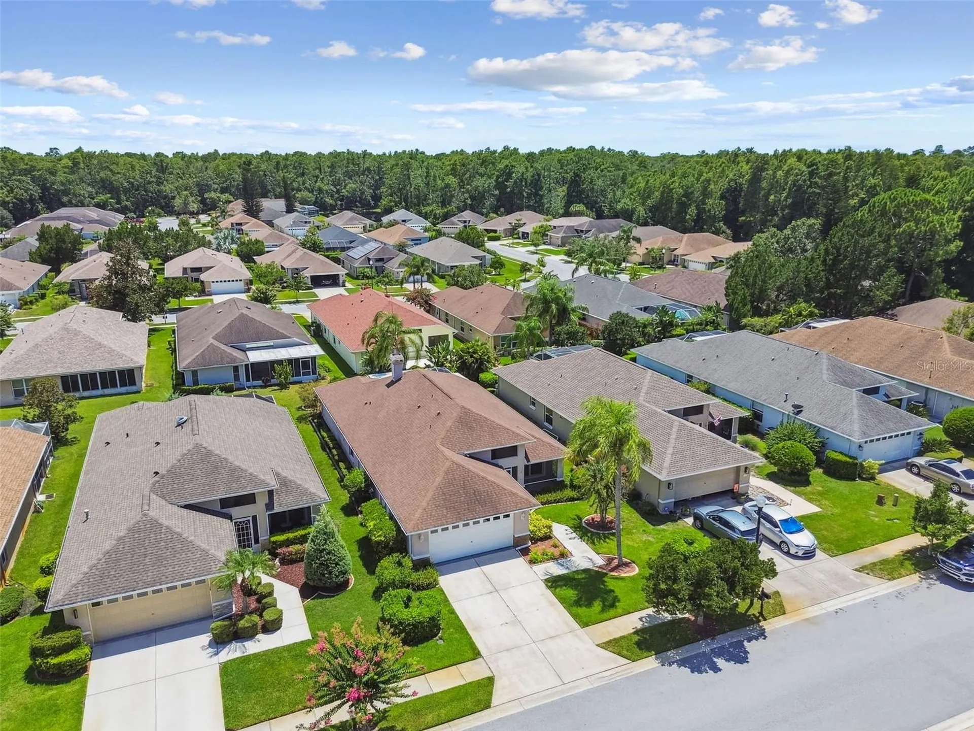 1747 Orchardgrove Avenue New Port Richey FL 34655