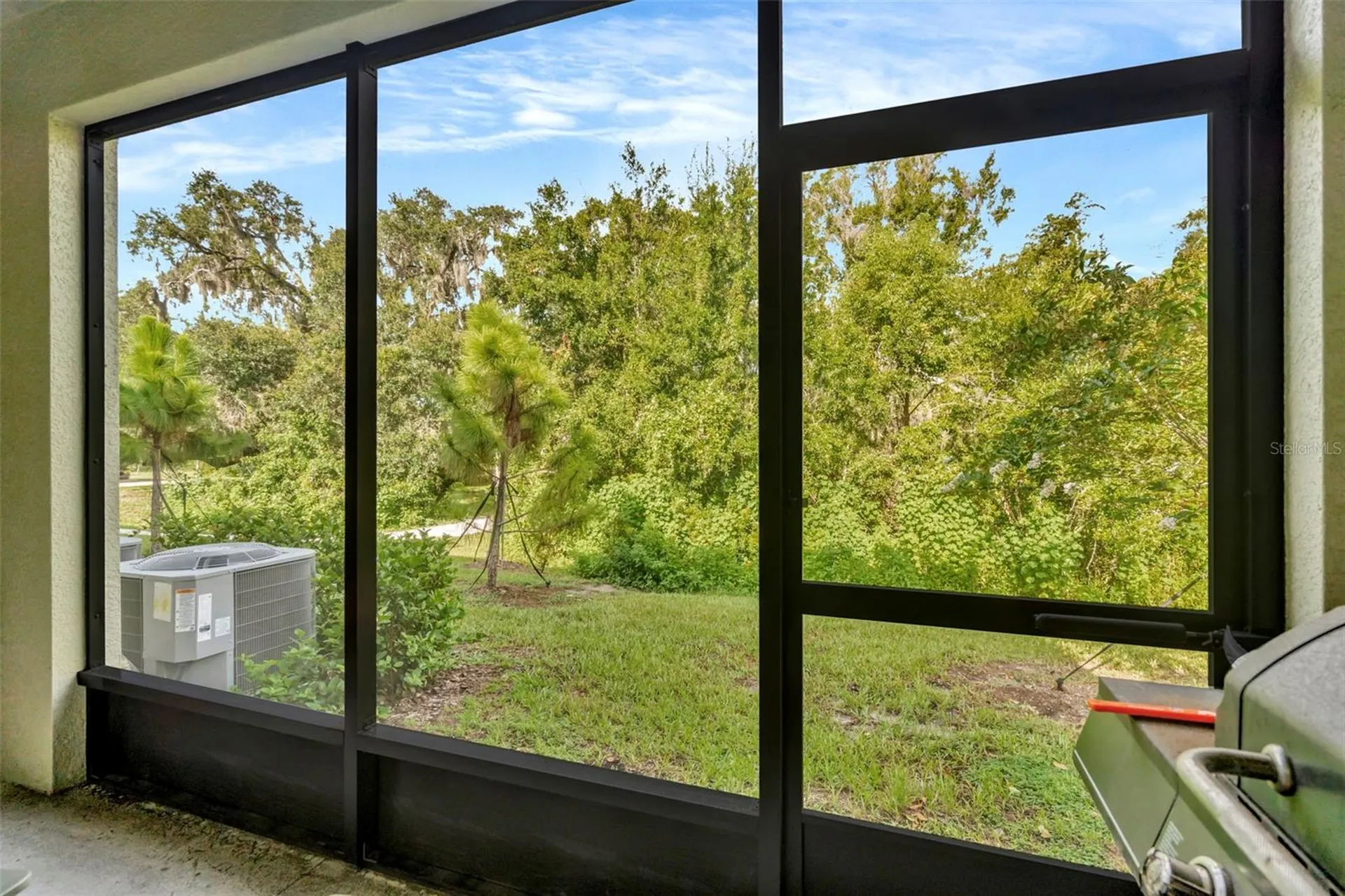 6033 Acara Lane Land O Lakes FL 34638