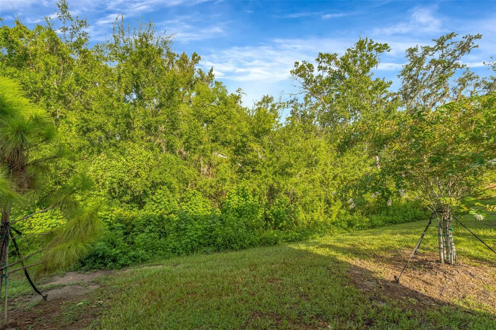 6033 Acara Lane Land O Lakes FL 34638