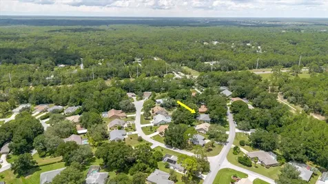 19862 SW 93rd Lane Road Dunnellon FL 34432