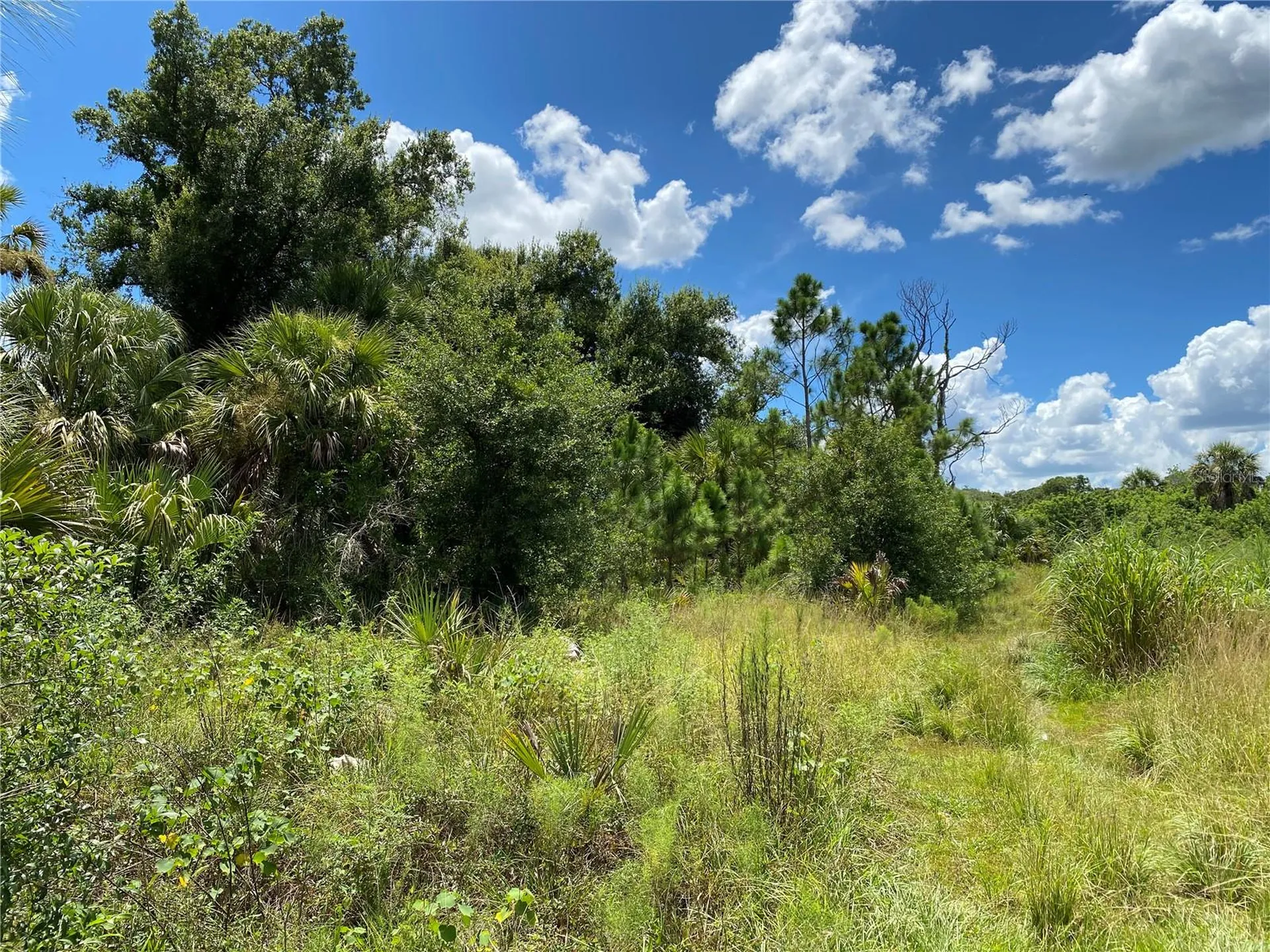 Sultan Court North Port FL 34286
