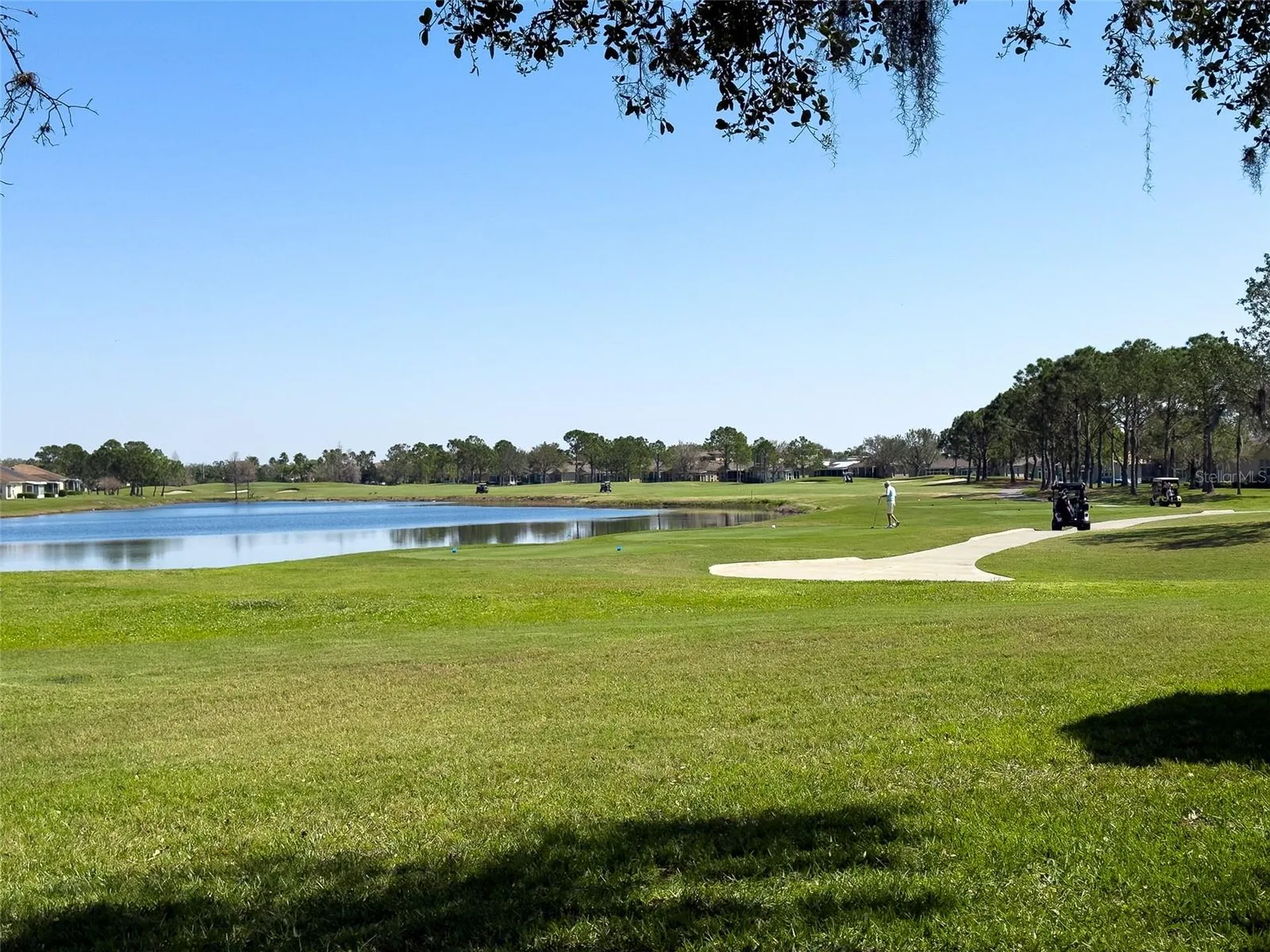 2237 Mayfield Palms Lane Sun City Center FL 33573