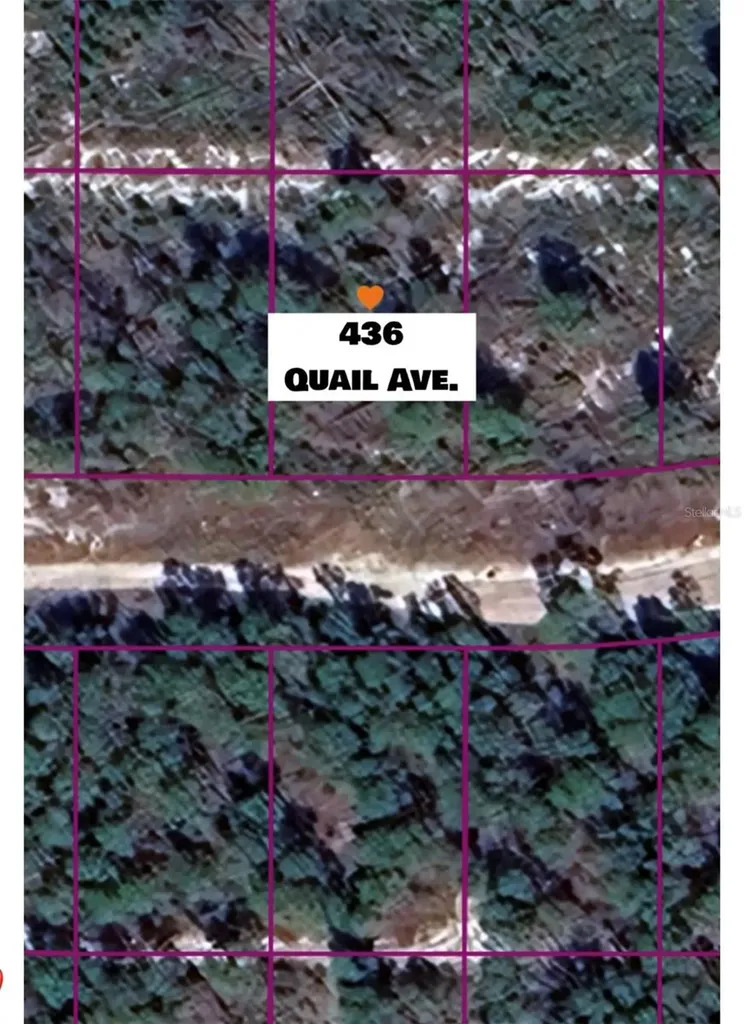 436 Quail Avenue Sebring FL 33870