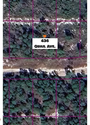 436 Quail Avenue Sebring FL 33870