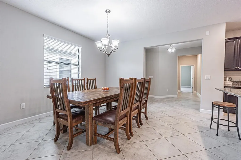 17124 Balance Cove Land O Lakes FL 34638