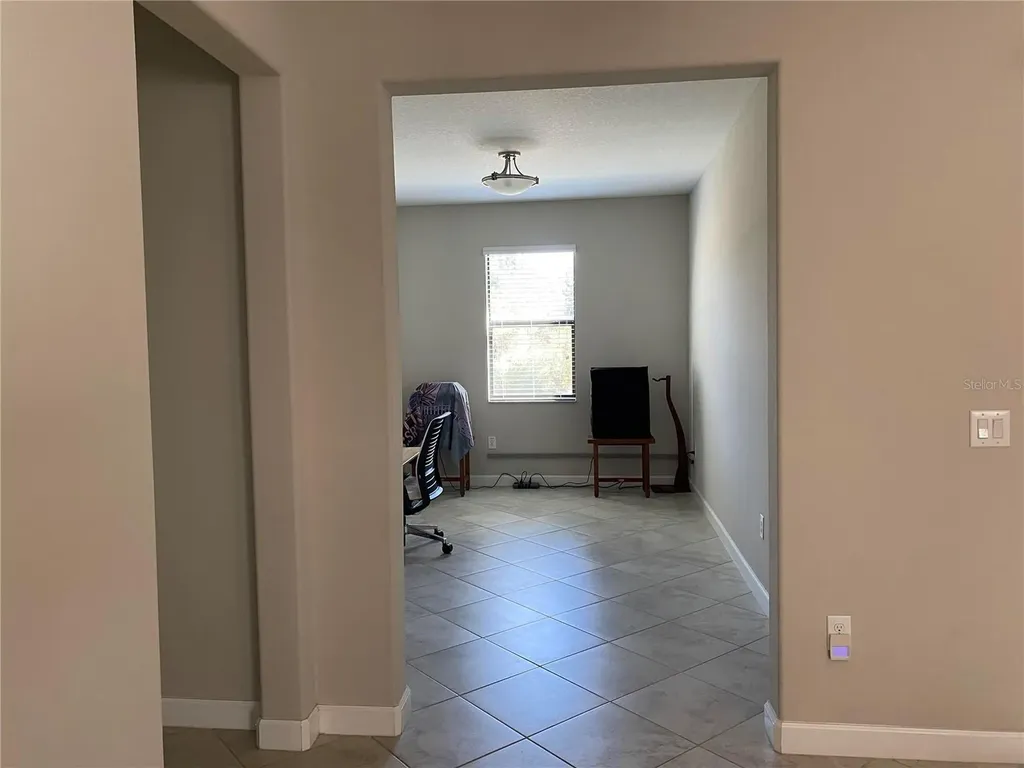 17124 Balance Cove Land O Lakes FL 34638