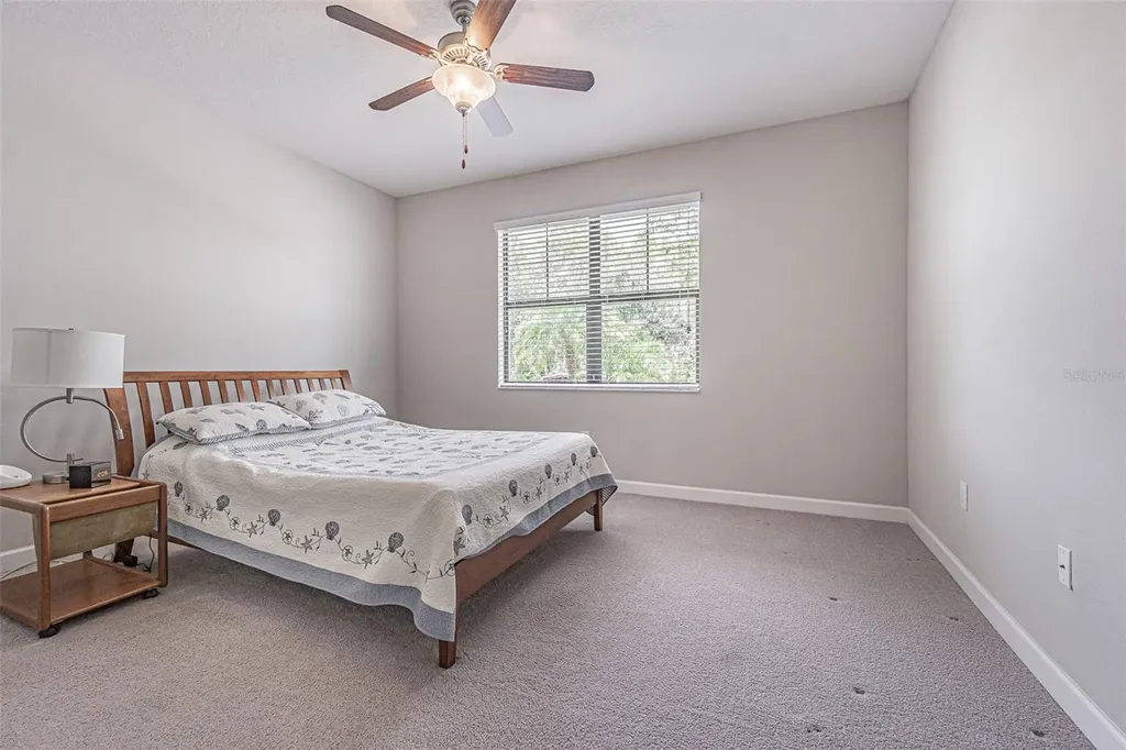 17124 Balance Cove Land O Lakes FL 34638