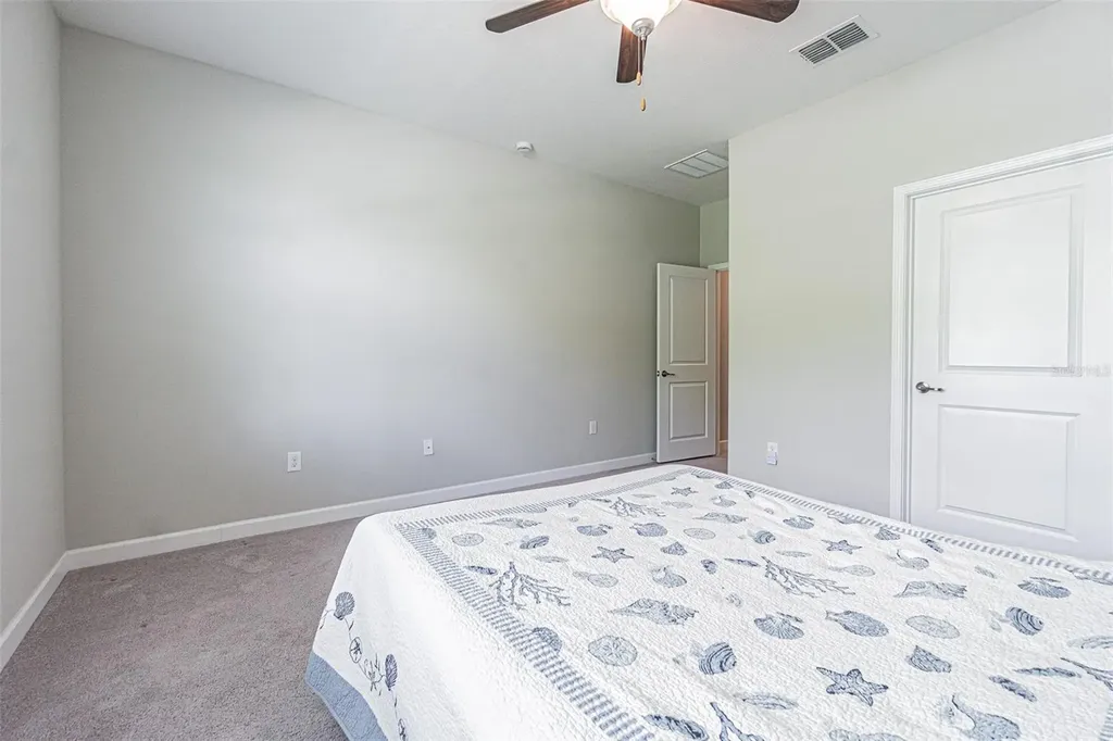 17124 Balance Cove Land O Lakes FL 34638